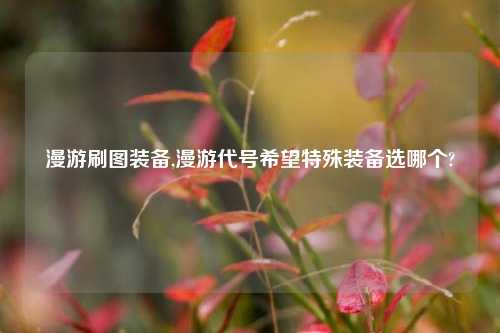 漫游刷图装备,漫游代号希望特殊装备选哪个?
