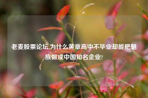 老麦股票论坛,为什么黄章高中不毕业却能把魅族做成中国知名企业?