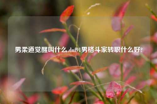 男柔道觉醒叫什么,dnf91男格斗家转职什么好?