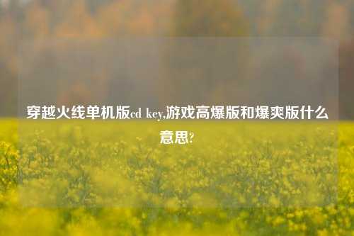 穿越火线单机版cd key,游戏高爆版和爆爽版什么意思?