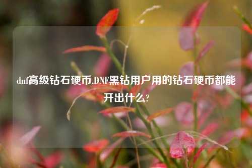 dnf高级钻石硬币,DNF黑钻用户用的钻石硬币都能开出什么?