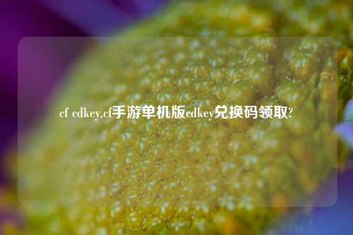 cf cdkey,cf手游单机版cdkey兑换码领取?