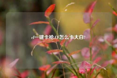 cf一键卡枪,CF怎么卡大白?