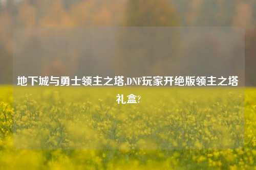 地下城与勇士领主之塔,DNF玩家开绝版领主之塔礼盒?