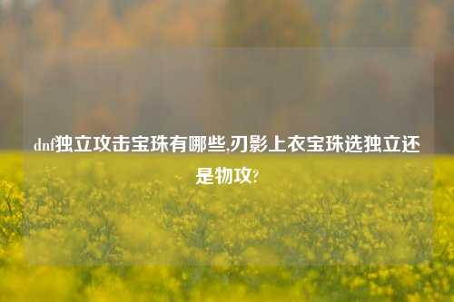 dnf独立攻击宝珠有哪些,刃影上衣宝珠选独立还是物攻?