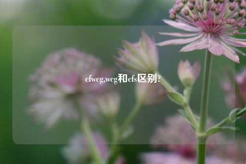 cfwcg,wcg和cfs区别?