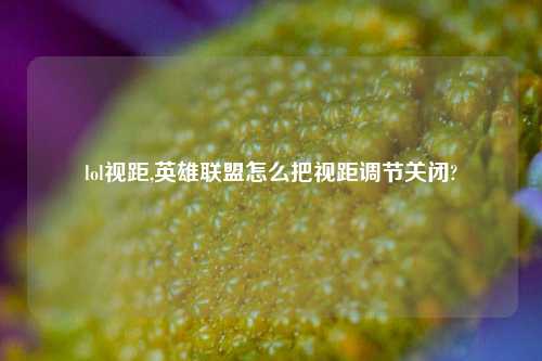 lol视距,英雄联盟怎么把视距调节关闭?