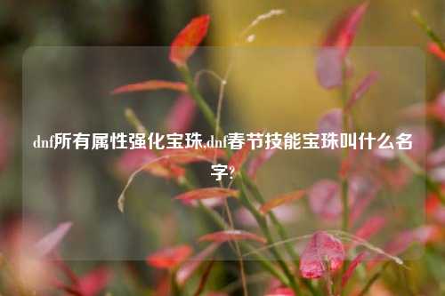 dnf所有属性强化宝珠,dnf春节技能宝珠叫什么名字?