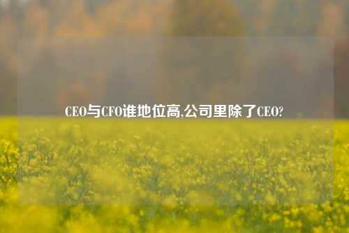 CEO与CFO谁地位高,公司里除了CEO?