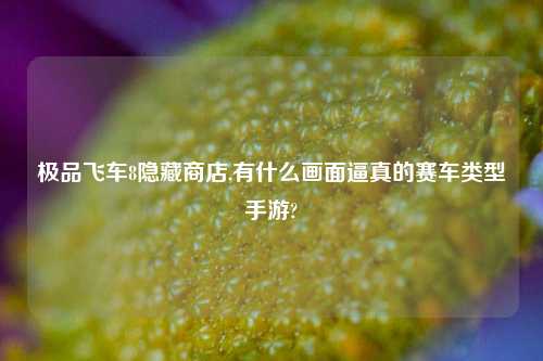 极品飞车8隐藏商店,有什么画面逼真的赛车类型手游?