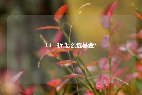 lol一折,怎么选基金?