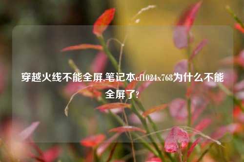 穿越火线不能全屏,笔记本cf1024x768为什么不能全屏了?