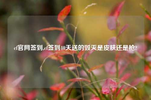 cf官网签到,cf签到40天送的毁灭是皮肤还是枪?