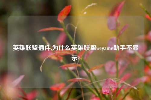 英雄联盟插件,为什么英雄联盟wegame助手不显示?