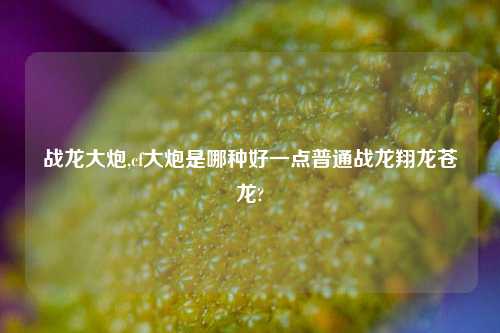 战龙大炮,cf大炮是哪种好一点普通战龙翔龙苍龙?