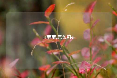 cf宝宝,怎么办?