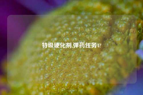 特级硬化剂,弹药任务4?