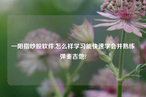 一阳指炒股软件,怎么样学习能快速学会并熟练弹奏吉他?