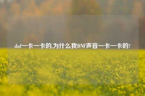 dnf一卡一卡的,为什么我DNF声音一卡一卡的?
