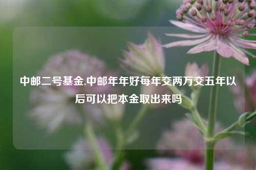中邮二号基金,中邮年年好每年交两万交五年以后可以把本金取出来吗