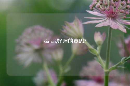 xia zai,好呷的意思?