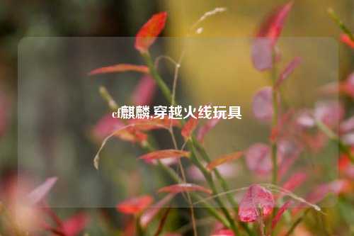 cf麒麟,穿越火线玩具