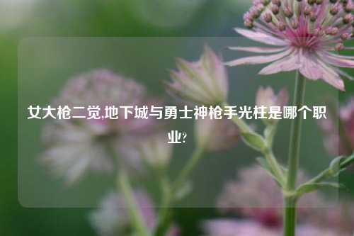 女大枪二觉,地下城与勇士神枪手光柱是哪个职业?