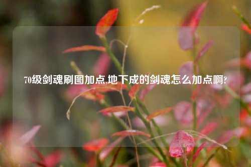 70级剑魂刷图加点,地下成的剑魂怎么加点啊?