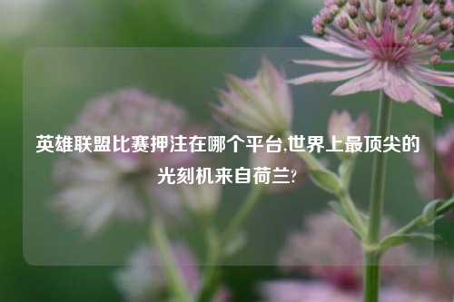 英雄联盟比赛押注在哪个平台,世界上最顶尖的光刻机来自荷兰?
