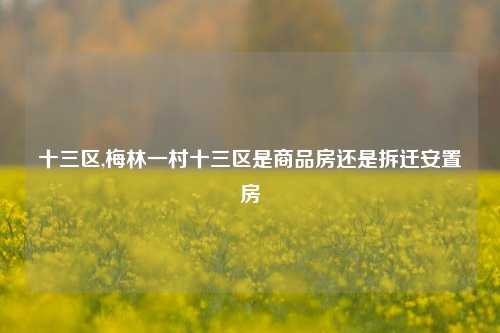 十三区,梅林一村十三区是商品房还是拆迁安置房