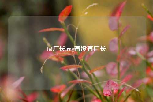 lol厂长,rng有没有厂长