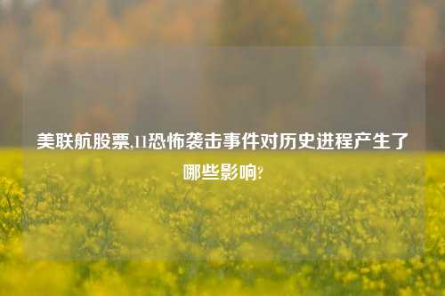 美联航股票,11恐怖袭击事件对历史进程产生了哪些影响?