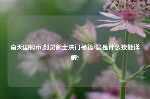 南天国银币,剑灵剑士洪门秘籍3篇是什么技能详解?