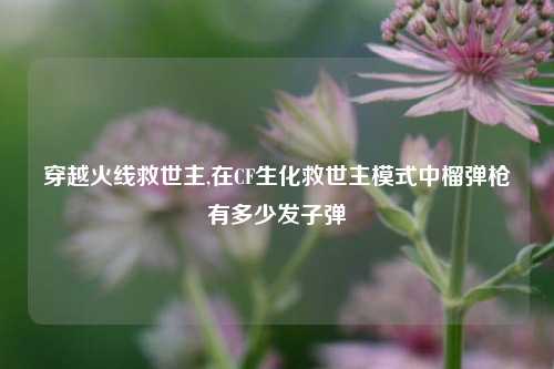 穿越火线救世主,在CF生化救世主模式中榴弹枪有多少发子弹