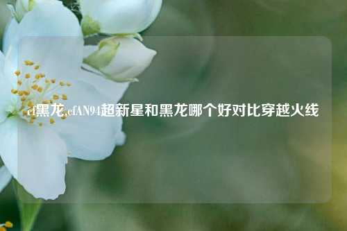 cf黑龙,cfAN94超新星和黑龙哪个好对比穿越火线