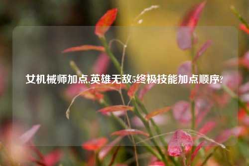 女机械师加点,英雄无敌5终极技能加点顺序?