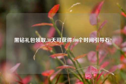 黑钻礼包领取,30天可获得100个时间引导石?