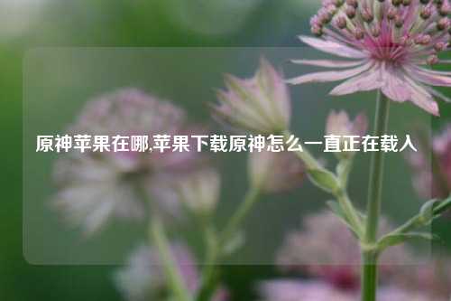 原神苹果在哪,苹果下载原神怎么一直正在载入