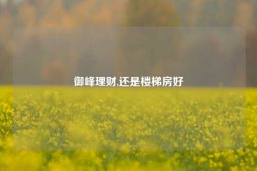 御峰理财,还是楼梯房好