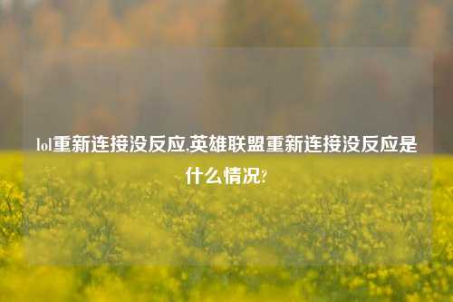 lol重新连接没反应,英雄联盟重新连接没反应是什么情况?