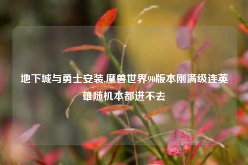 地下城与勇士安装,魔兽世界90版本刚满级连英雄随机本都进不去