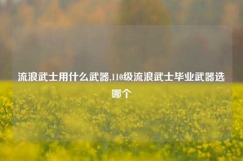 流浪武士用什么武器,110级流浪武士毕业武器选哪个