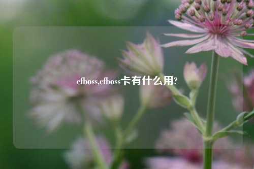 cfboss,cfboss卡有什么用?
