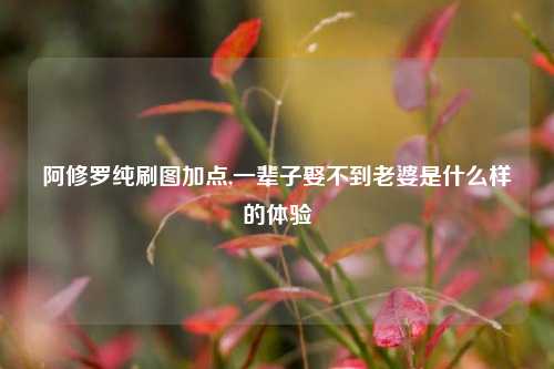 阿修罗纯刷图加点,一辈子娶不到老婆是什么样的体验
