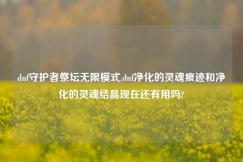 dnf守护者祭坛无限模式,dnf净化的灵魂痕迹和净化的灵魂结晶现在还有用吗?