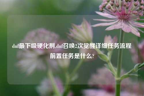 dnf最下级硬化剂,dnf召唤2次觉醒详细任务流程前置任务是什么?