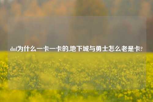 dnf为什么一卡一卡的,地下城与勇士怎么老是卡?