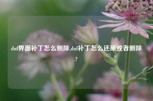 dnf界面补丁怎么删除,dnf补丁怎么还原或者删除?