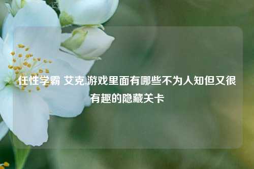 任性学霸 艾克,游戏里面有哪些不为人知但又很有趣的隐藏关卡