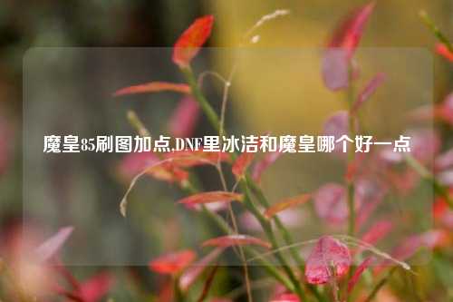魔皇85刷图加点,DNF里冰洁和魔皇哪个好一点
